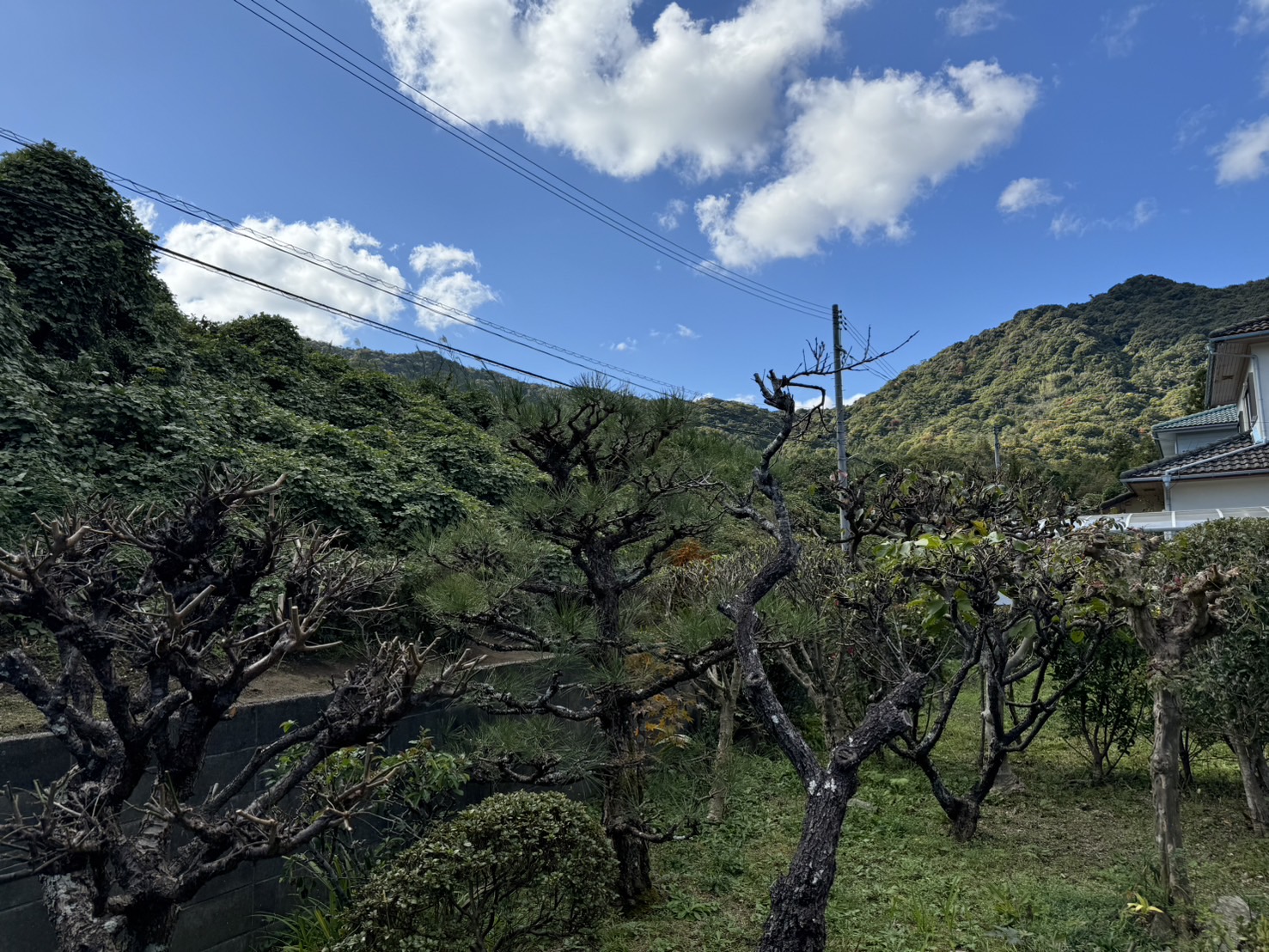 【物件番号1152】小鯖小学校校区の山口市下小鯖の4DK